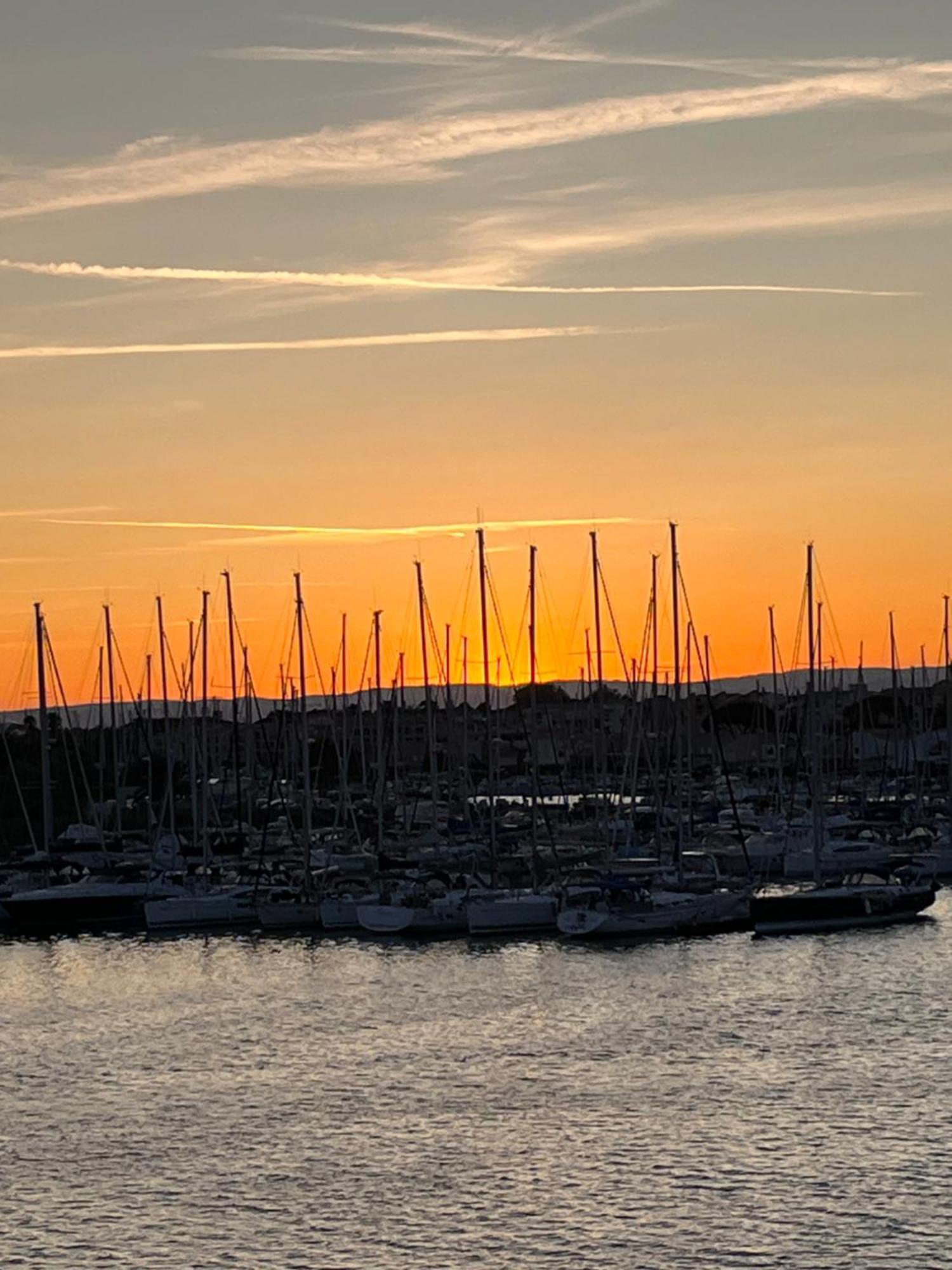 Studio Prestige Avec Terrasse, Ile Des Pecheurs, Vue Port Agde Eksteriør bilde